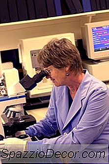 Kwalificaties Voor Een Plaats Delictscene