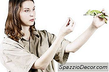 Qualités Qu'Un Zoologiste A Besoin