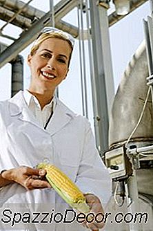 Récompenses D'Être Un Scientifique De L'Alimentation