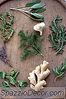 Sage Herb Health Benefits