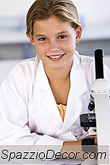 Fen Müfredatı Geliştirme İşleri