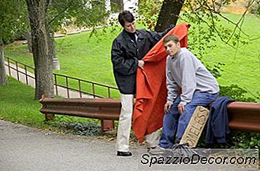Seguridad Del Trabajador Social Y Del Trabajador Social