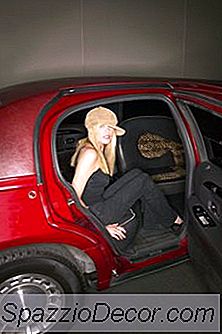 Star Workout Rutiinit