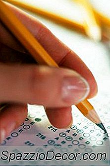 Prova Per Aiutare A Decidere Il Percorso Di Carriera