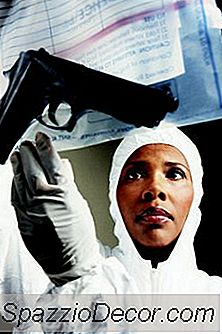 Top Programe De Criminalistică