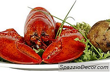 Tryptophan In Lobster