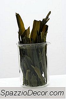 Alternativa Vegana Al Aceite De Hígado De Bacalao