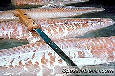 Vitamine D-Niveaus En Visolie