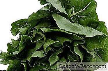 Quais São Os Benefícios Para A Saúde De Espinafre Refogados?