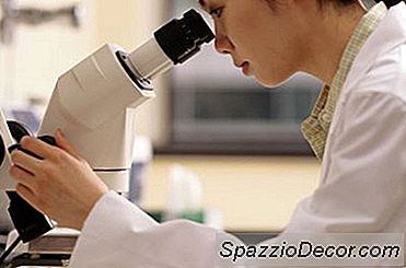 O Que Faz Um Técnico De Laboratório?