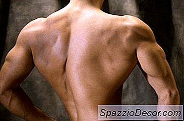 スポーツ栄養士は何をしますか?