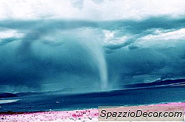 Que Fatores Devem Usar Um Chefe Ao Decidir Fechar Cedo E Deixar Os Funcionários Irem Para Casa?