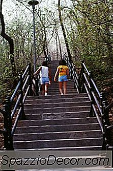 Ce Muschii Fac Pașii Scărilor Duble?