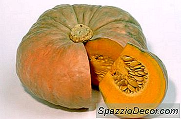 Quais Nutrientes A Semente De Abóbora Fornece?