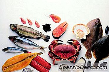 Comida Deliciosa Que É Bom Para O Seu Cérebro